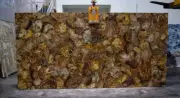 Resin Coffee Table Top Brown Petrified Living Room Table for Home Decor