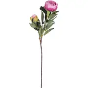 Blume Pink Peony 92cm