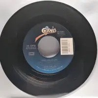 在飛比找Yahoo!奇摩拍賣優惠-45rpm 7吋 黑膠單曲 Celine Dion【When