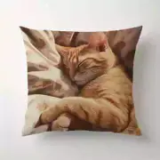 Sleepy Orange Cat Throw Pillow Decorative Couch Pillow 18 X 18 Pillow and Case