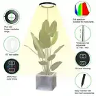T Plant Grow Light Floor Lamp Floor Model Full Spectrum Sunlight Large Potted