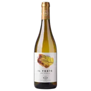 Cantina Produttori Del Gavi Gavi Il Forte DOCG 2023 - Buy Online | The Wine Collective Marketplace