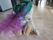 Annette Funicello Collectible Bear, NWT, with feather in hat, Andrea