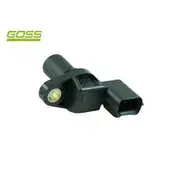 RAE Camshaft Position Sensor - SC116