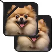 2 Pack Pot Holders for Kitchen Heat Resistant Potholders Happy Short-haired Pomeranian Pot Holders Set Washable Hot Pads with Loop Non Slip Potholders for Cooking Baking BBQ Microwave 8 x 8 Inch