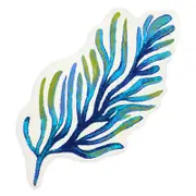 Abyss Marea Bath Rug, 31 x 59 - Exclusive