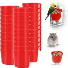 Watering Dish Chicken Feeding Food Cup Pet Supplies Bird Feeders Feeder Cups