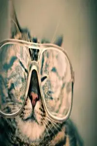 在飛比找博客來優惠-Cat with glasses: Dot Grid 6x9