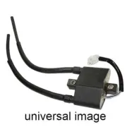 SPI Ignition Coil for 2021-2022 Lynx Boondocker 600R E-TEC