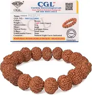 [REBUY] 8 Mukhi Rudraksha Bracelet Unisex Bracelet Java Beads Adjustable 8 Face Rudraksha Bead Bracelet, 7.5 inch, Wood, no gemstone