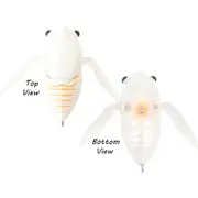 Atomic Hardz Fishing Lure Cicada 47mm Life Like Surface Hard body