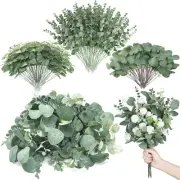 270 Pcs 3 Kinds Mixed Eucalyptus Leaves Stems Bulk Artificial Silver Dollar Leav