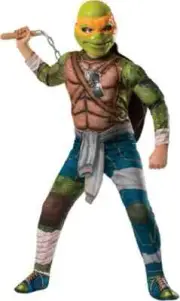 Michelangelo TMNT Teenage Mutant Ninja Turtles Halloween Deluxe Child Costume