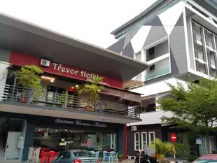 特雷沃爾飯店Trevor Hotel