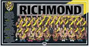 Richmond tigers team Photo,AFL football,swans, ,blues books,Sydney swans,pies 2