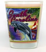 South Carolina State Mural Shot Glass Glassware JKS
