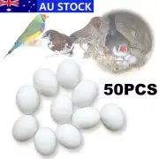 Solid Plastic Eggs Parrot Bird Hatch Replace Egg for Guiding Bird to Stop Laying