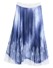 [ERMANNO FIRENZE] ERMANNO FIRENZE Midi skirts - Item 30450242