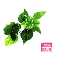 在飛比找momo購物網優惠-【水族 飾品 裝飾】仿真小榕 超逼真假水草 小榕 造景飾品/