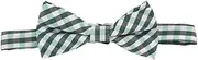 [GLSTOY] Bow Tie Patrick Costume Bow Ties for Boy Bow Tie Boys Clip on Bow Tie Bow Tie Accessories St. Patrick's Day Party Wear Clip on Bow Tie Polyester