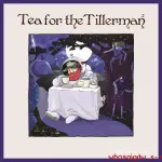 原裝正版YUSUF CAT STEVENS TEA FOR THE TILLERMAN 黑膠唱片 LP原版SHIDGE