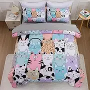 A Nice Night - for Kids Boys Colorful Cartoon Cats Printed Bedding Set,5Pcs Bed in A Bag Full Size Comforter Set, Ultra Soft with Pillowcase (Gray)