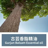 在飛比找蝦皮購物優惠-【馥靖精油】古芸香脂精油 Gurjun Balsam Ess