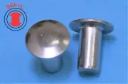 OHSR180516, Stainless Steel Oval Head Solid Rivets - 1/8"X5/16" - 100pcs