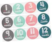 ANDRESLAD 1 Set Monthly Sticker for Milestone Stickers for Girl Age Stickers