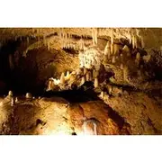 Save 10.00%! Barbados Harrison's Cave Tram Tour and Boat Cruise Snorkel Adventure