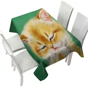 Cute Tempting Ginger Cat Drawing Tablecloth