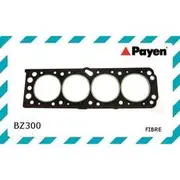 Payen Head Gasket - BZ300
