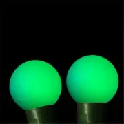 Kellogg Plastics 59309 0.75 in. Holiday & Christmas Indoor & Outdoor LED- Gre...