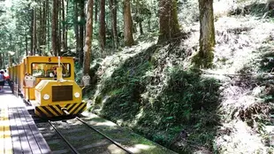 宜蘭-太平山,鳩之澤,太平山莊,見晴懷古道| 平日拼車一日遊