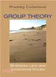 Group Theory ─ Lie's, Tracks, And Exceptional Groups