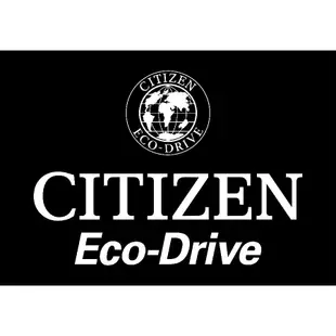 CITIZEN CC9017-59E 電波 衛星錶