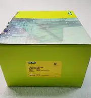 Bio-Rad Hard-Shell 96-Well PCR Plates, low profile, thin wall, skirted, HSP9601