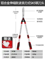 園藝大剪刀 修枝剪 剪枝剪刀 修枝剪園藝草坪大剪刀樹枝花剪園林修花剪子專用省力綠籬剪『CYD22831』