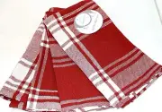 Arctic Holiday Christmas Tartan Plaid Napkins Set of 4 Red White Silver Tinsel