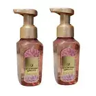 2 Bath & Body Works ACAI BERRY SPRITZ Gentle & Clean Foaming Hand Soap, 8.75 OZ
