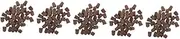 BESPORTBLE 5sets Hydroponic Plant Nutrients Starter Trays Kit for Seeds Fertiliser Starter Blocks Grow Cubes Plugs Planting Supplies 40pcs*5