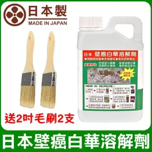 【十田修繕】日本壁癌白華強效溶解劑 1L 送2吋毛刷2支(壁癌 乳膠漆 白華 防水 批土 油漆 防水漆)