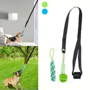 Spring Pole Dog Rope Toy Muscle Builder Interactive Dogs Hanging Rope Toy Set