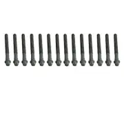 Crp 81027600 Head Bolt Set