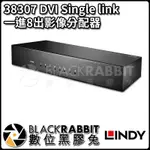 【 LINDY 林帝 38307 DVI SINGLE LINK 一進8出影像分配器 】數位黑膠兔