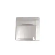 Watch Sapphire Crystal Glass for Audemars Piguet 24.0*20.0*4.3mm Single Bridge