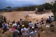 WRC Acropolis Rally Greece 2002 Marko Martin Michael Park Ford Foc- Old Photo 1