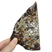 84.6g Brenham pallasite Meteorite slice - from USA TA50