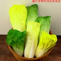 在飛比找樂天市場購物網優惠-仿真大白菜模型蔬菜幼兒園裝飾田園兒童認知假白菜農家樂攝影道具