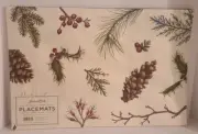 NEW Hester & Cook Paper Placemats “WINTER COLLAGE” Package of 30 NEW